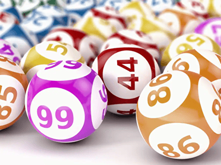 Bingo