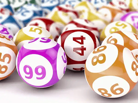 Bingo