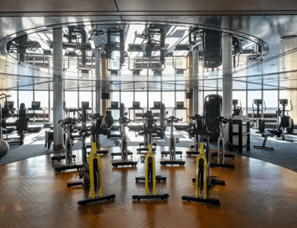 The Gym and Fitness Studio